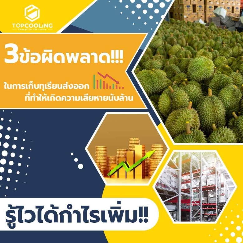 3 ข้อผิดพลาดในการเก็บทุเรียนส่งออก...รู้ไวได้กำไรเพิ่ม